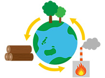 有機物燃料のバイオマスエネルギー
